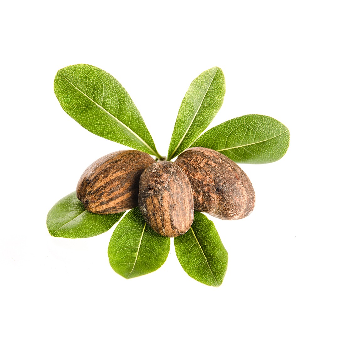 Our Products Shea Nuts & Butter Supply by Innovative Marketing